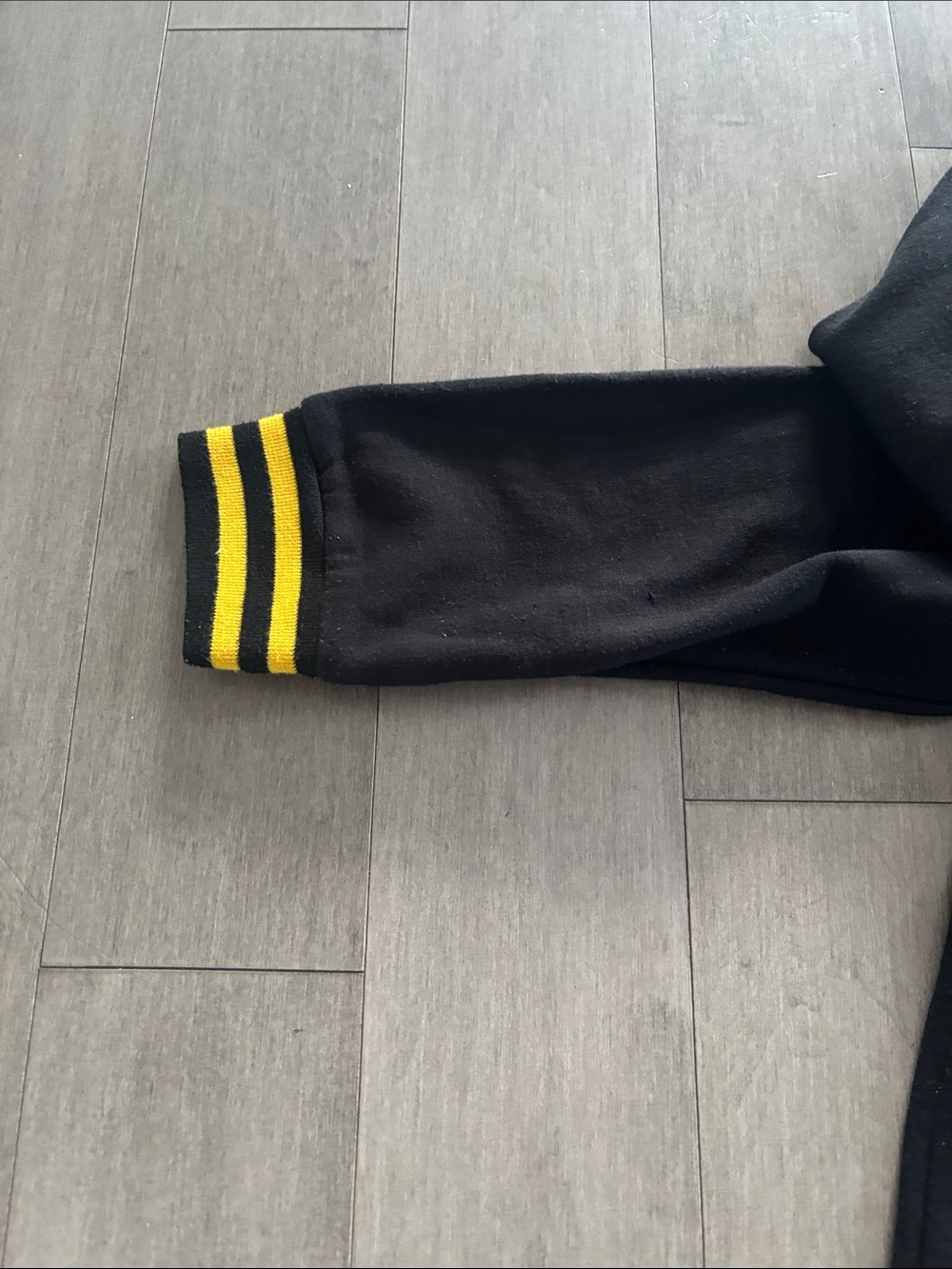Hogwarts Crest Black Hoodie with Gold Accents - Picture 5 of 8